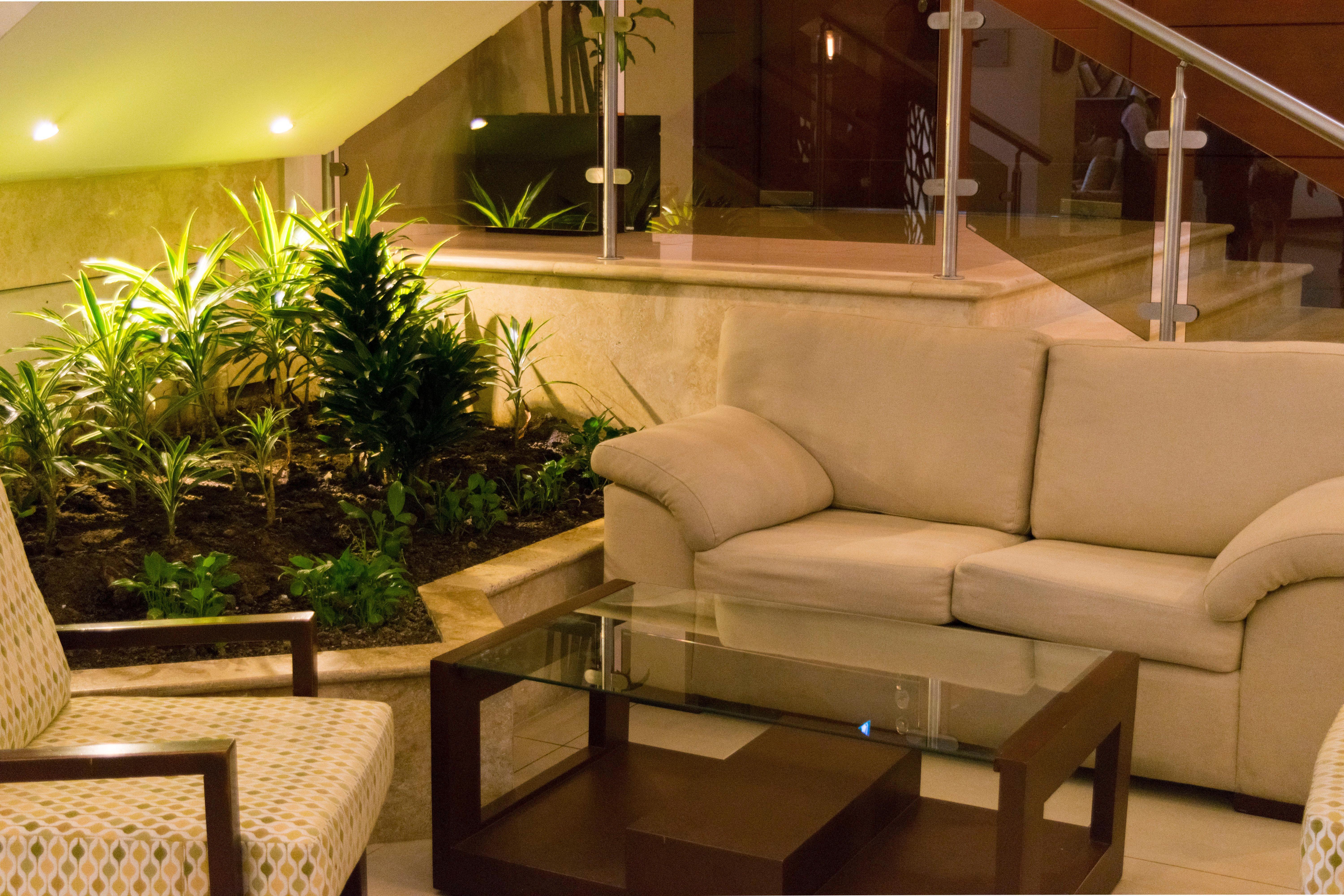 Hyatt Centric Гватемала Экстерьер фото